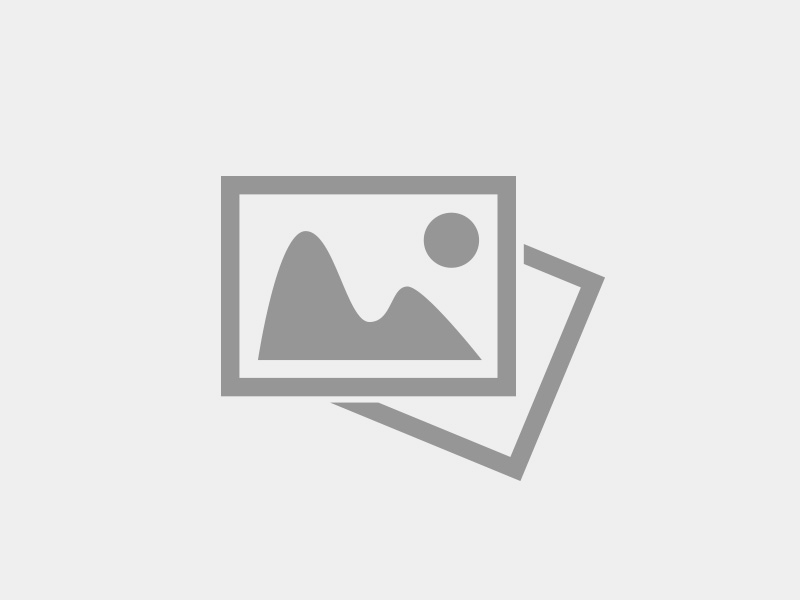 AO VIVO: assista à programação da NSC TV